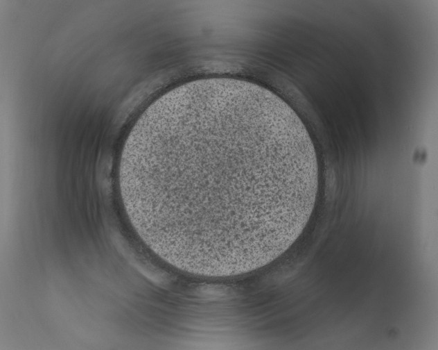 X0000110940490200907311020