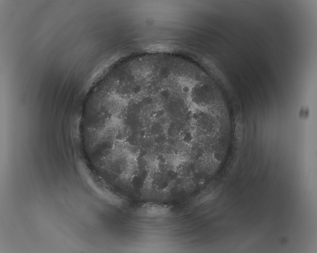 X0000110940491200907311020