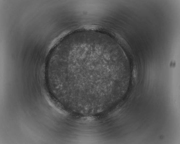 X0000110940492200907311020