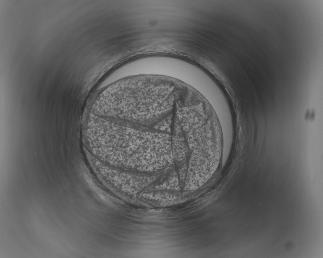 X0000110940493200907311020