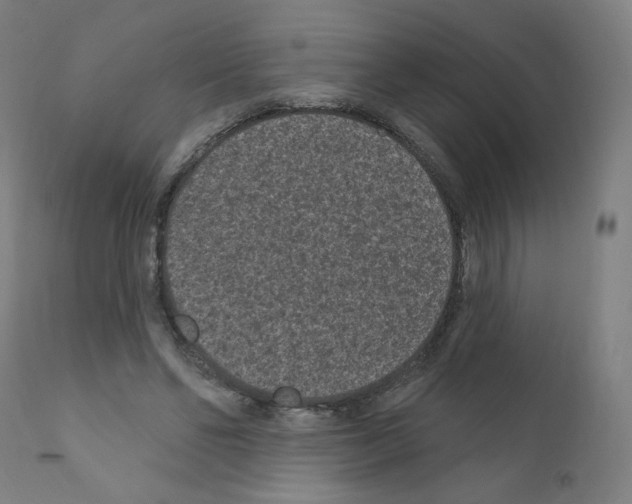 X0000110940494200907311020