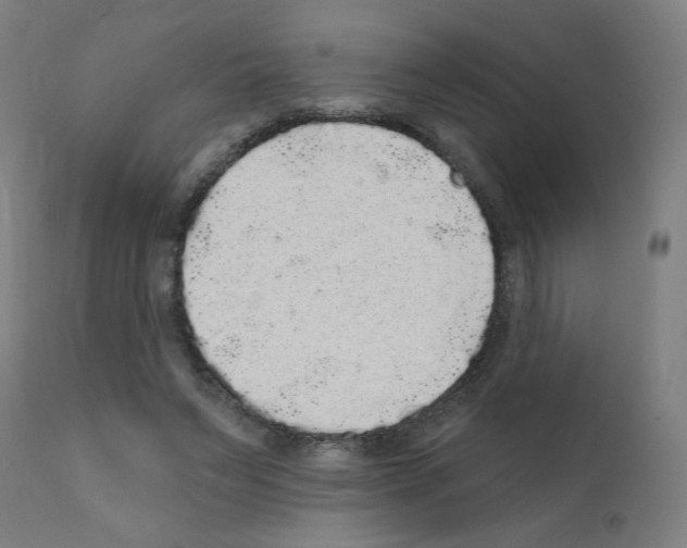 X0000110940495200907311020