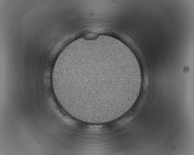 X0000110940497200907311020