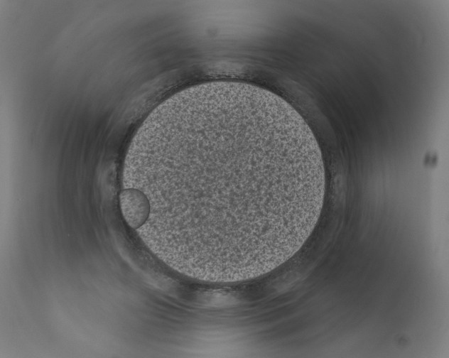 X0000110940498200907311020