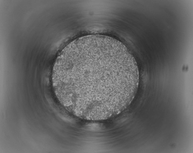 X0000110940499200907311020