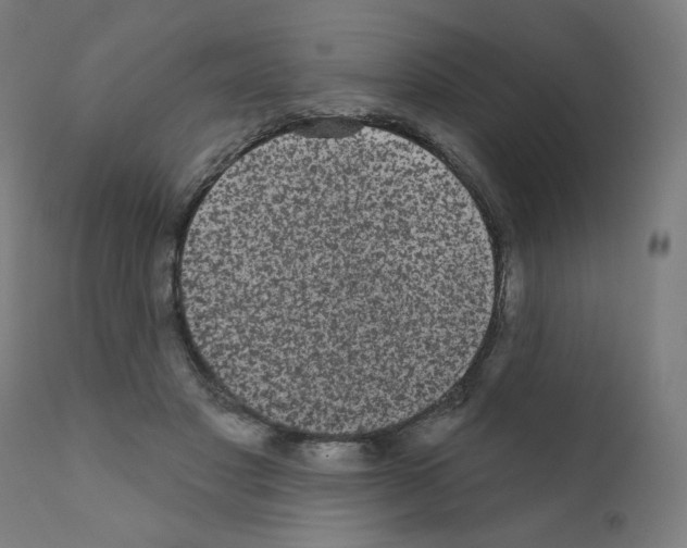 X0000110940501200907311020