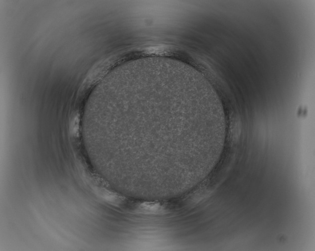 X0000110940502200907311020