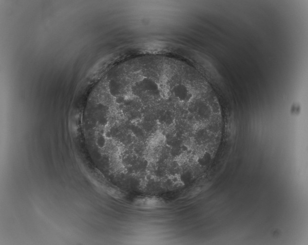 X0000110940503200907311020