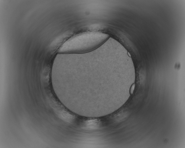 X0000110940505200907311020