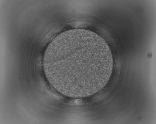 X0000110940506200907311020