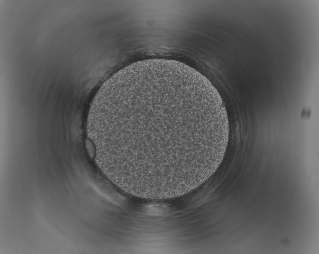 X0000110940508200907311020