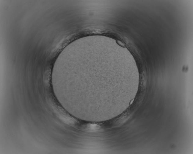 X0000110940509200907311020