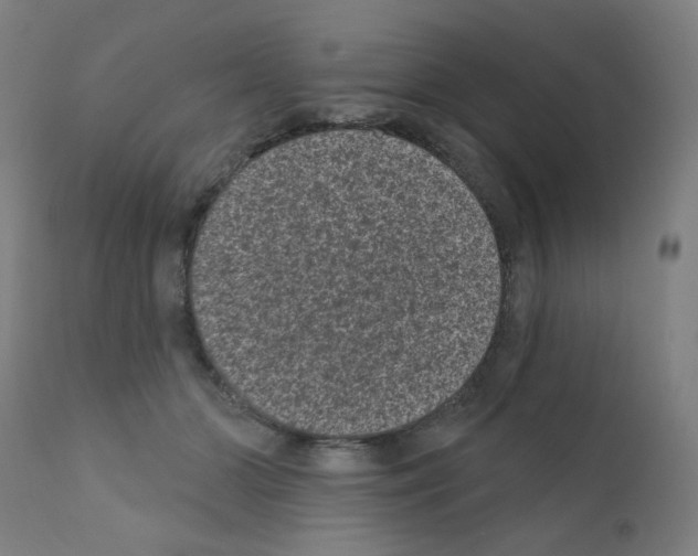 X0000110940510200907311020