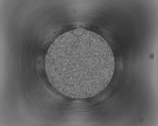X0000110940511200907311020