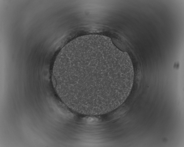 X0000110940512200907311020