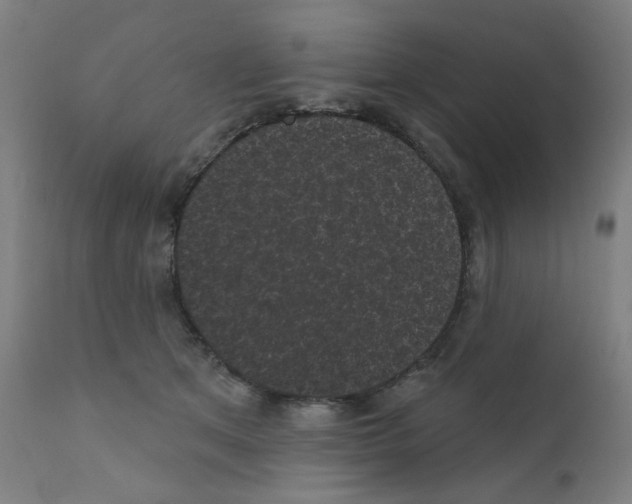 X0000110940513200907311020