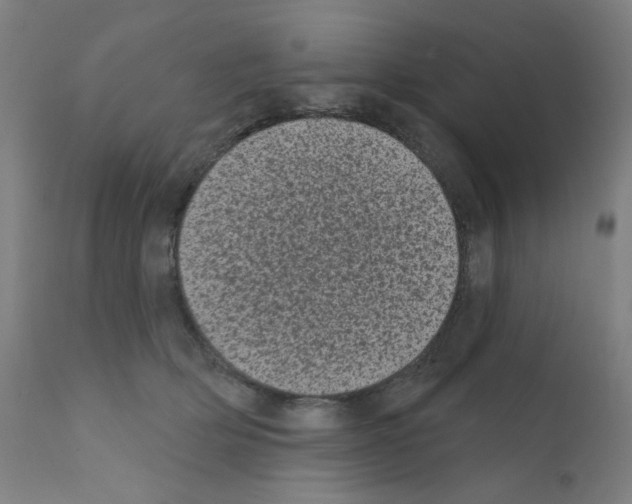 X0000110940514200907311020