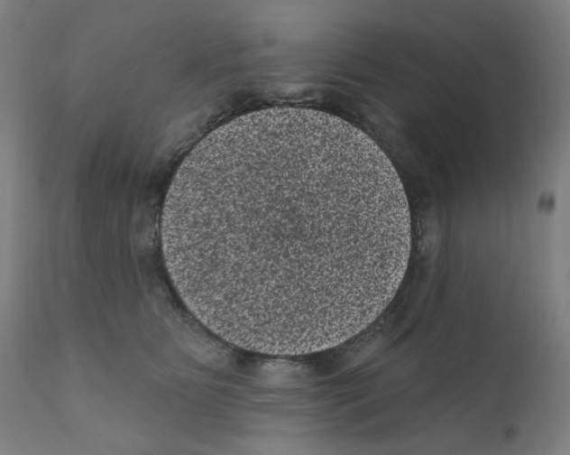 X0000110940515200907311020