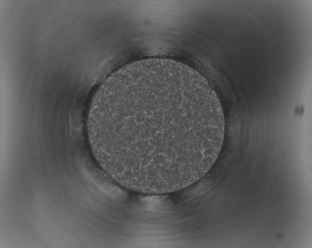 X0000110940516200907311020