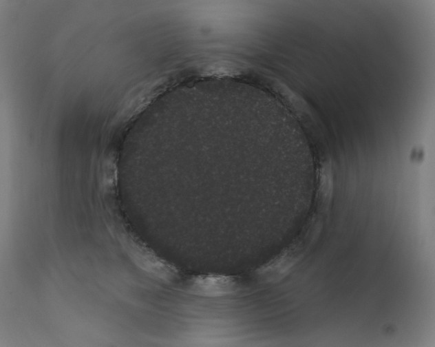 X0000110940517200907311020