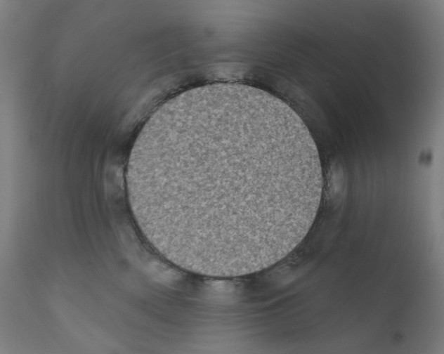 X0000110940522200907311020