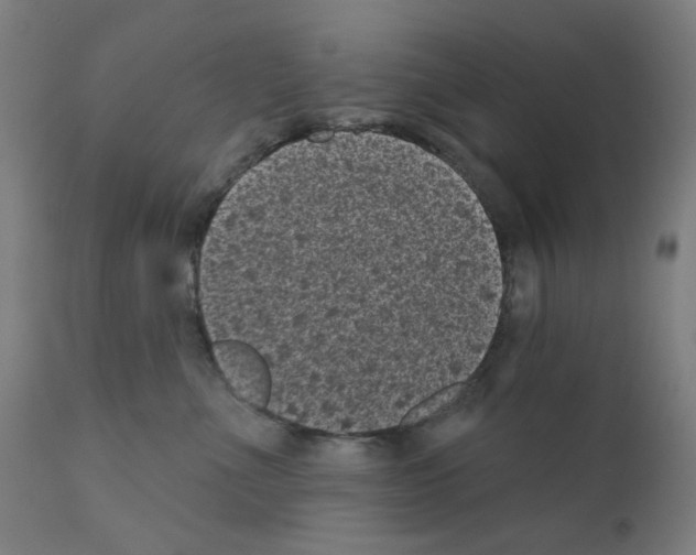 X0000110940523200907311020