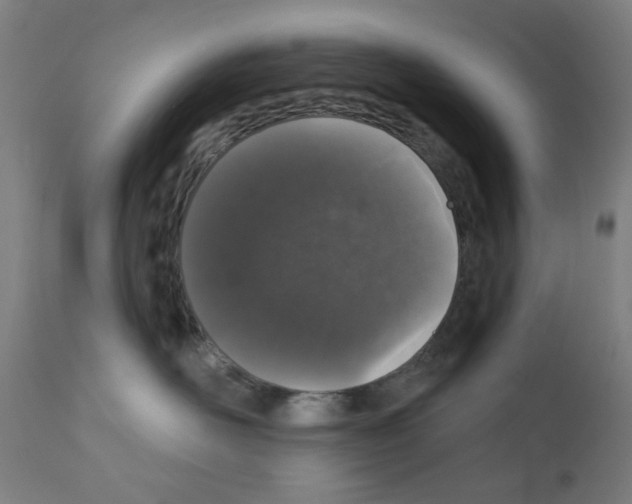 X0000110940526200907311020