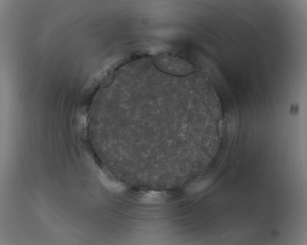X0000110940527200907311020