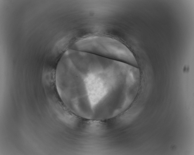 X0000110940528200907311020