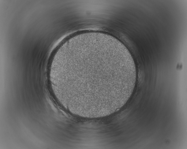 X0000110940532200907311019