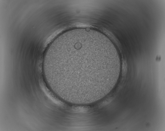 X0000110940533200907311019
