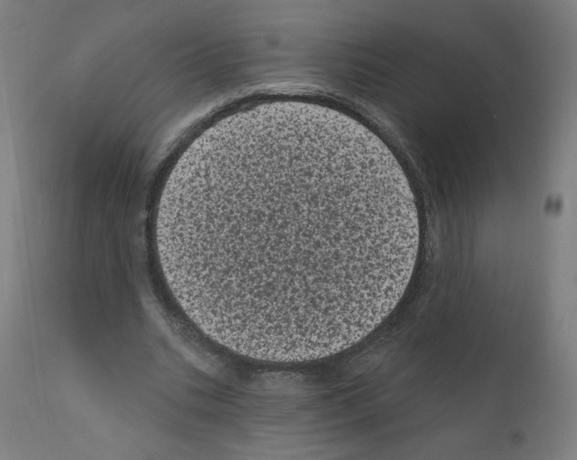 X0000110940535200907311019