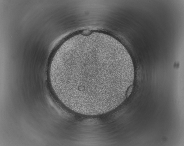 X0000110940536200907311019
