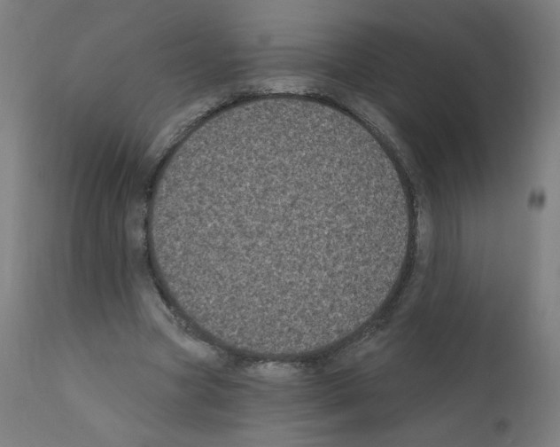 X0000110940537200907311019