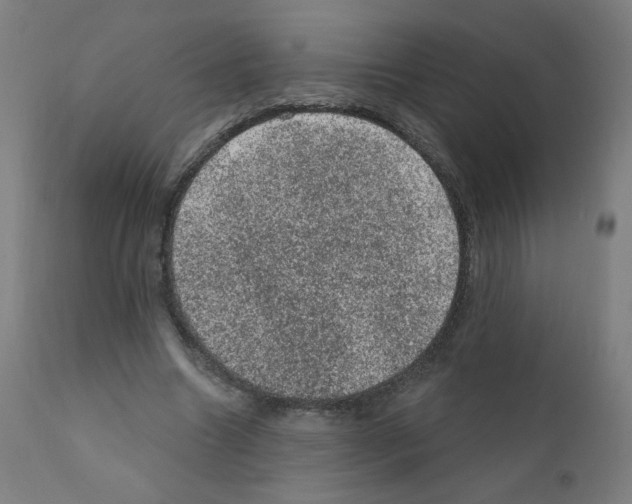 X0000110940538200907311019