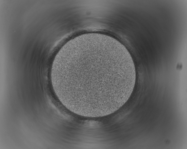 X0000110940539200907311019