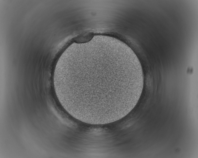 X0000110940540200907311019