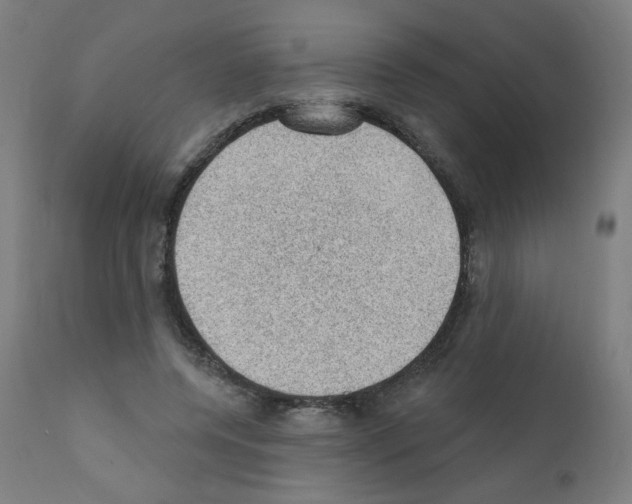 X0000110940544200907311019