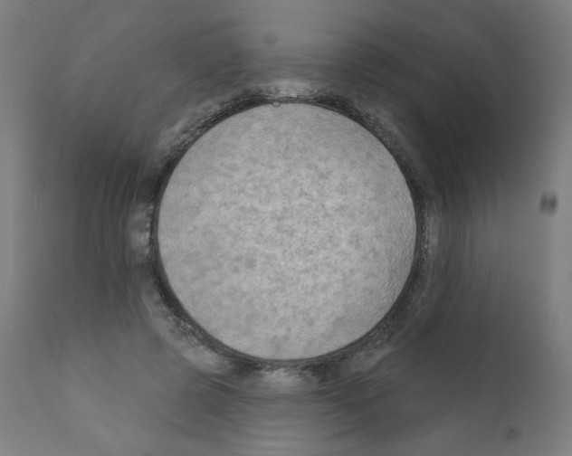 X0000110940545200907311019