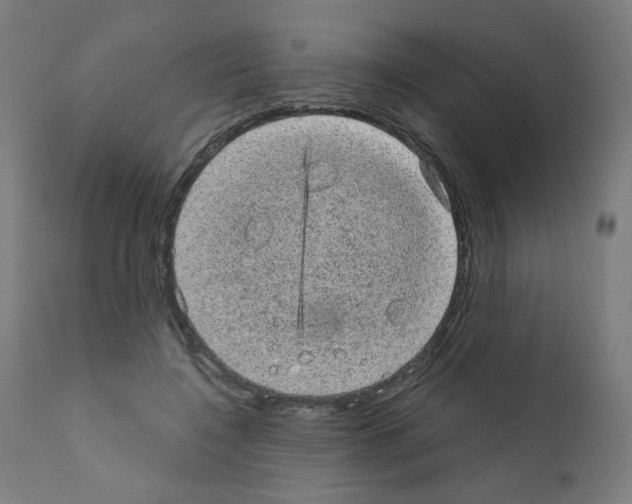 X0000110940548200907311019