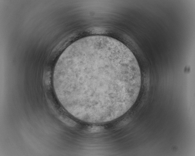 X0000110940549200907311019