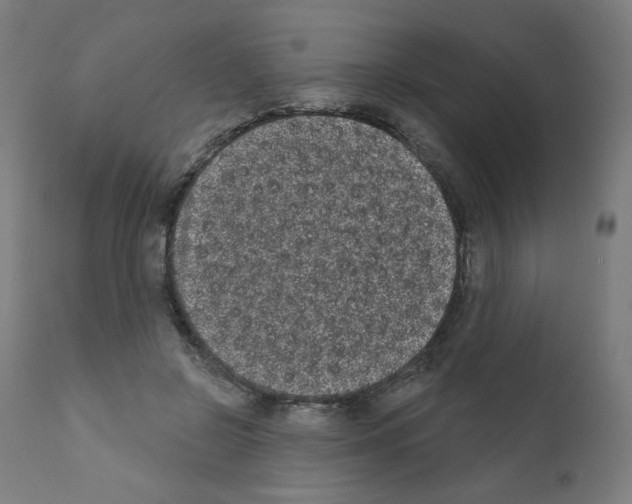 X0000110940550200907311019