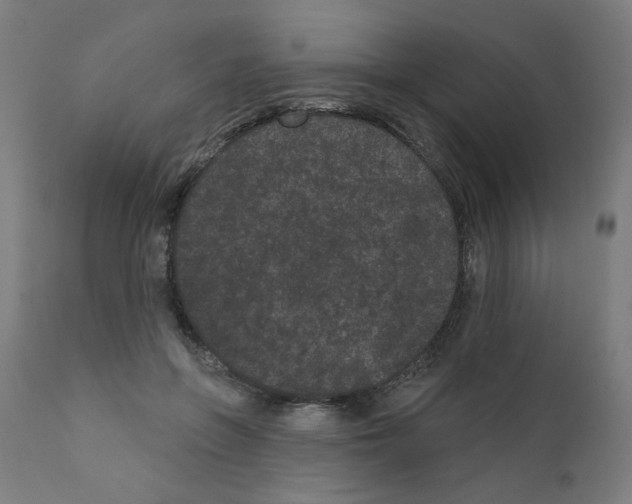 X0000110940551200907311019