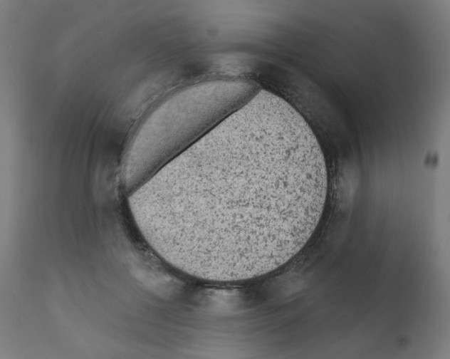 X0000110940552200907311019