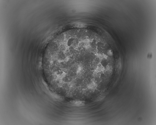 X0000110940553200907311019