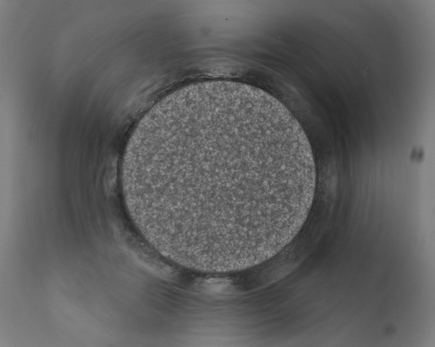X0000110940554200907311019