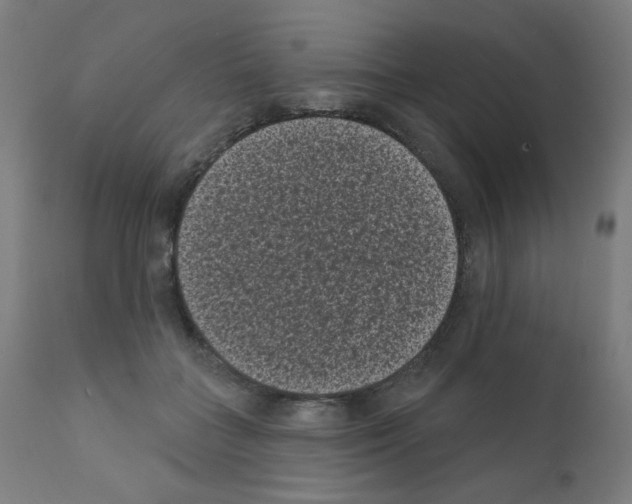 X0000110940555200907311019