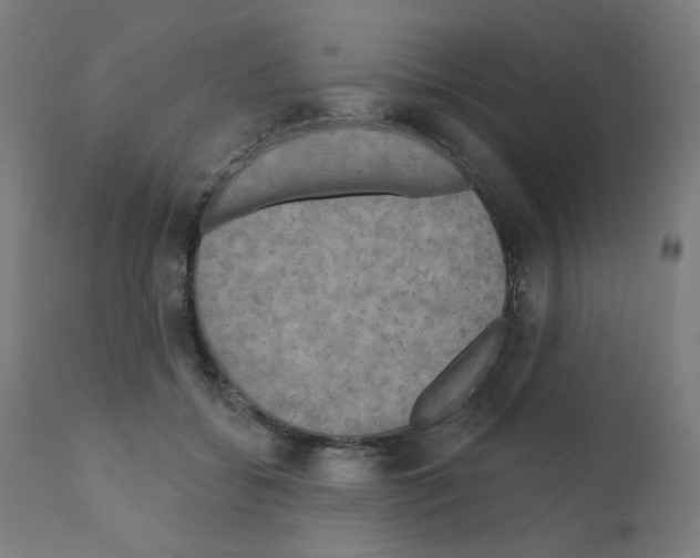 X0000110940556200907311019