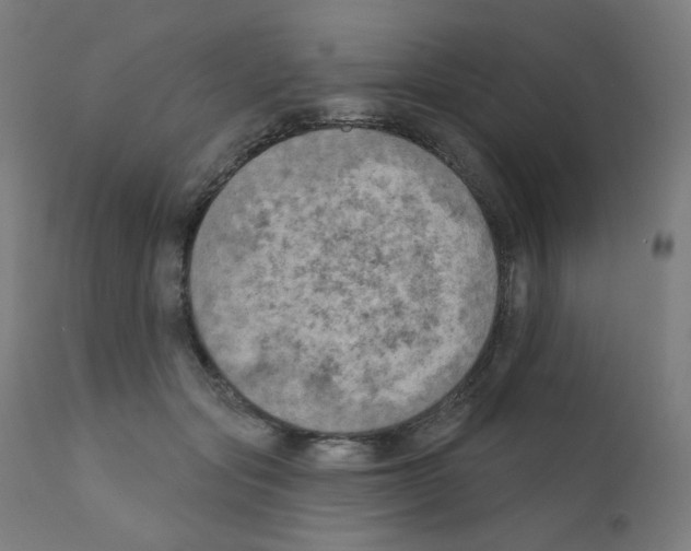 X0000110940557200907311019