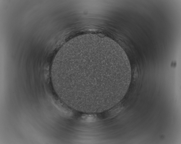 X0000110940559200907311019